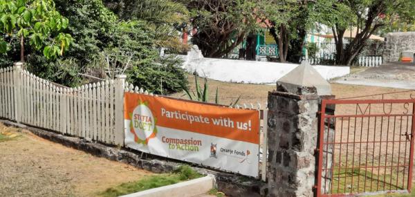 Seeds of Joy - A gentle planting experience 