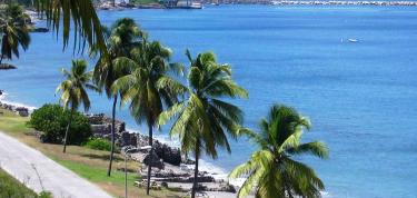 Cleaning & Beautification of Oranjebaai