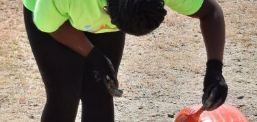 Painting & beautification